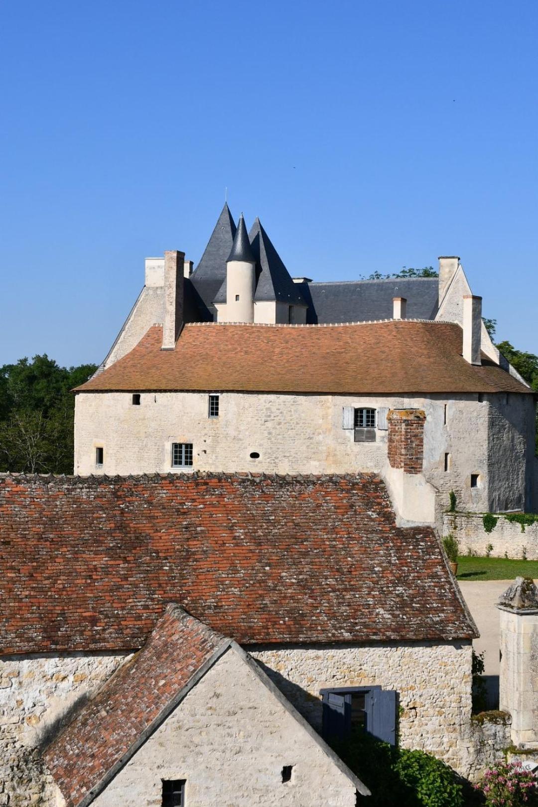Chateau De Meauce, Gite Du Vigneron Saincaize-Meauce Exteriör bild